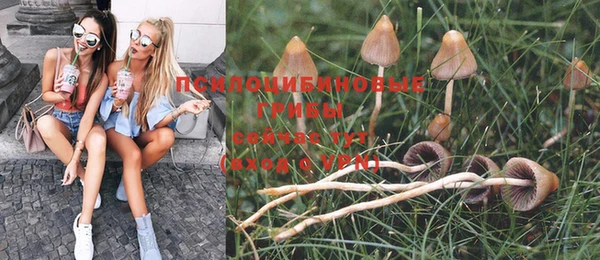 мескалин Медвежьегорск