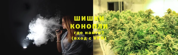 гидра Михайловск