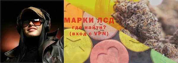 стафф Михайловка