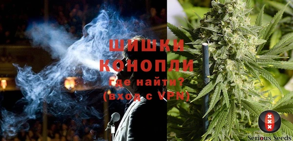 гидра Михайловск