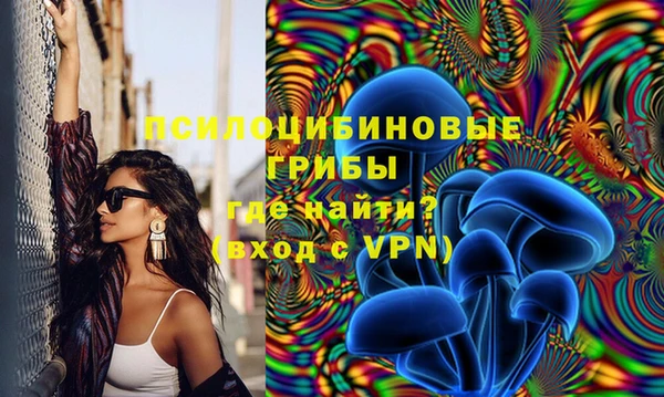 героин Михайлов