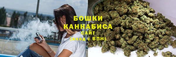 гидра Михайловск