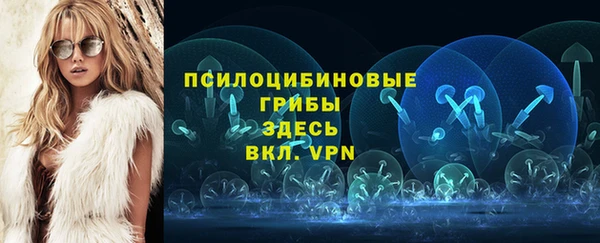 стафф Михайловка