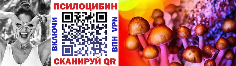 Псилоцибиновые грибы Psilocybine cubensis  Заозёрск 